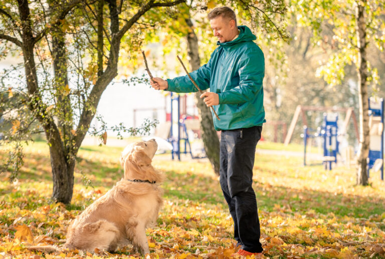 Comment un dresseur de chien de chasse évalue-t-il le potentiel de l&rsquo;animal ?