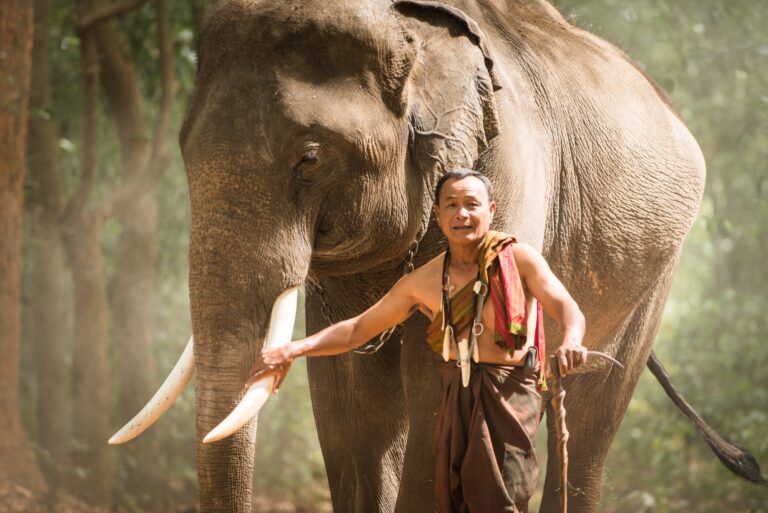 Le rôle essentiel des aînés dans la société au Laos : traditions, solidarité et sagesse vivante