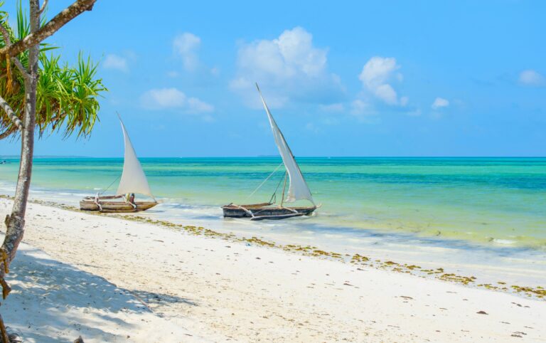 Prendre sa retraite à Zanzibar, en Tanzanie : une seconde vie au soleil