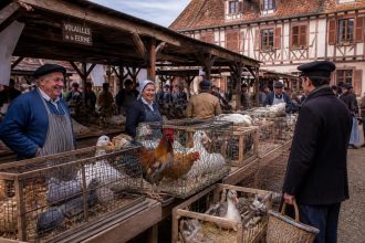 découvrez le marché aux volailles vivantes dans le 27, un lieu incontournable pour les amateurs de gastronomie en quête de produits frais et de qualité.